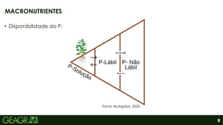 8
• Disponibilidade do P:
MACRONUTRIENTES
Fonte: Nutrigrãos, 2023.
 