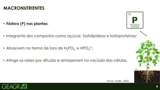 9
• Fósforo (P) nas plantas:
• Integrante dos compostos como açúcar, fosfolipídeos e fosfoproteínas;
• Absorvem na forma de Íons de H2PO4
- e HPO4
2-;
• Atinge as raízes por difusão e armazenam no vacúolo das células.
MACRONUTRIENTES
Fonte: Stoller, 2023.
 