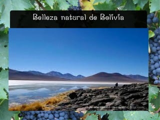 Belleza natural de Bolivia