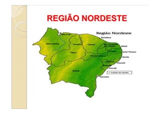 REGIÃO NORDESTE
 