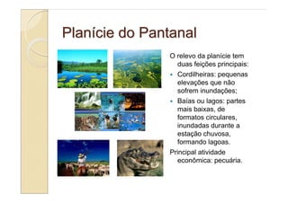 Planície do Pantanal
               O relevo da planície tem
                  duas feições principais:
                  Cordilheiras: pequenas
                  elevações que não
                  sofrem inundações;
                  Baías ou lagos: partes
                  mais baixas, de
                  formatos circulares,
                  inundadas durante a
                  estação chuvosa,
                  formando lagoas.
               Principal atividade
                  econômica: pecuária.
 