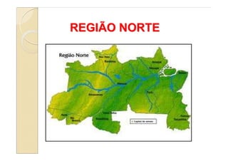REGIÃO NORTE
 