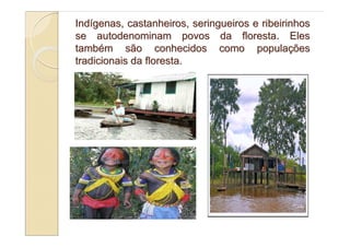 Indígenas, castanheiros, seringueiros e ribeirinhos
se autodenominam povos da floresta. Eles
também são conhecidos como populações
tradicionais da floresta.
 