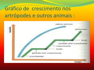 Gráfico de crescimento nos
artrópodes e outros animais :
 