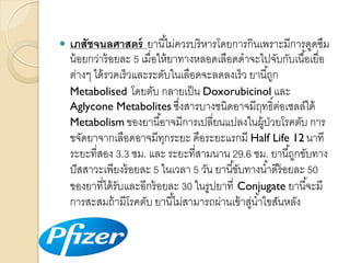 

เภสัชจนลศาสตร์ ยำนี ้ไม่ควรบริ หำรโดยกำรกินเพรำะมีกำรดูดซึม
น้ อยกว่ำร้ อยละ 5 เมื่อให้ ยำทำงหลอดเลือดดำจะไปจับกับเนื ้อเยื่อ
ต่ำงๆ ได้ รวดเร็ วและระดับในเลือดจะลดลงเร็ ว ยำนี ้ถูก
Metabolised โดยตับ กลำยเป็ น Doxorubicinol และ
Aglycone Metabolites ซึงสำรบำงชนิดอำจมีฤทธิ์ตอเซลล์ได้
่
่
Metabolism ของยำนี ้อำจมีกำรเปลี่ยนแปลงในผู้ป่วยโรคตับ กำร
ขจัดยำจำกเลือดอำจมีทกระยะ คือระยะแรกมี Half Life 12 นำที
ุ
ระยะที่สอง 3.3 ชม. และ ระยะที่สำมนำน 29.6 ชม. ยำนี ้ถูกขับทำง
ปั สสำวะเพียงร้ อยละ 5 ในเวลำ 5 วัน ยำนี ้ขับทำงน ้ำดีร้อยละ 50
ของยำที่ได้ รับและอีกร้ อยละ 30 ในรูปยำที่ Conjugate ยำนี ้จะมี
กำรสะสมถ้ ำมีโรคตับ ยำนี ้ไม่สำมำรถผ่ำนเข้ ำสูน ้ำไขสันหลัง
่

 