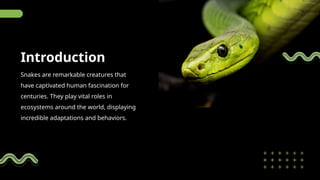SlideEgg_79442-Snake PowerPoint Template.pptx