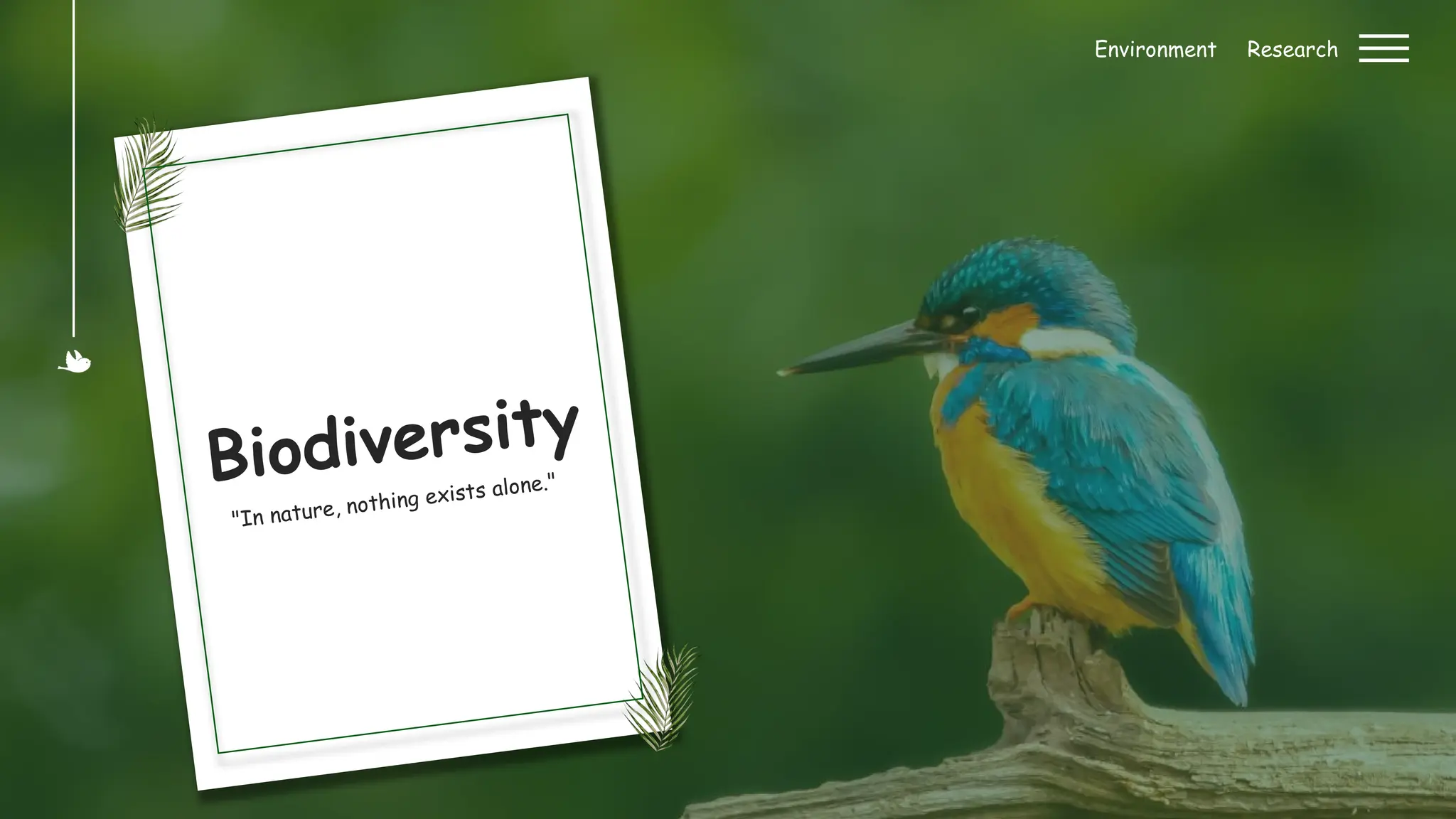 Slide Egg_900025_Biodiversity Research.pptx