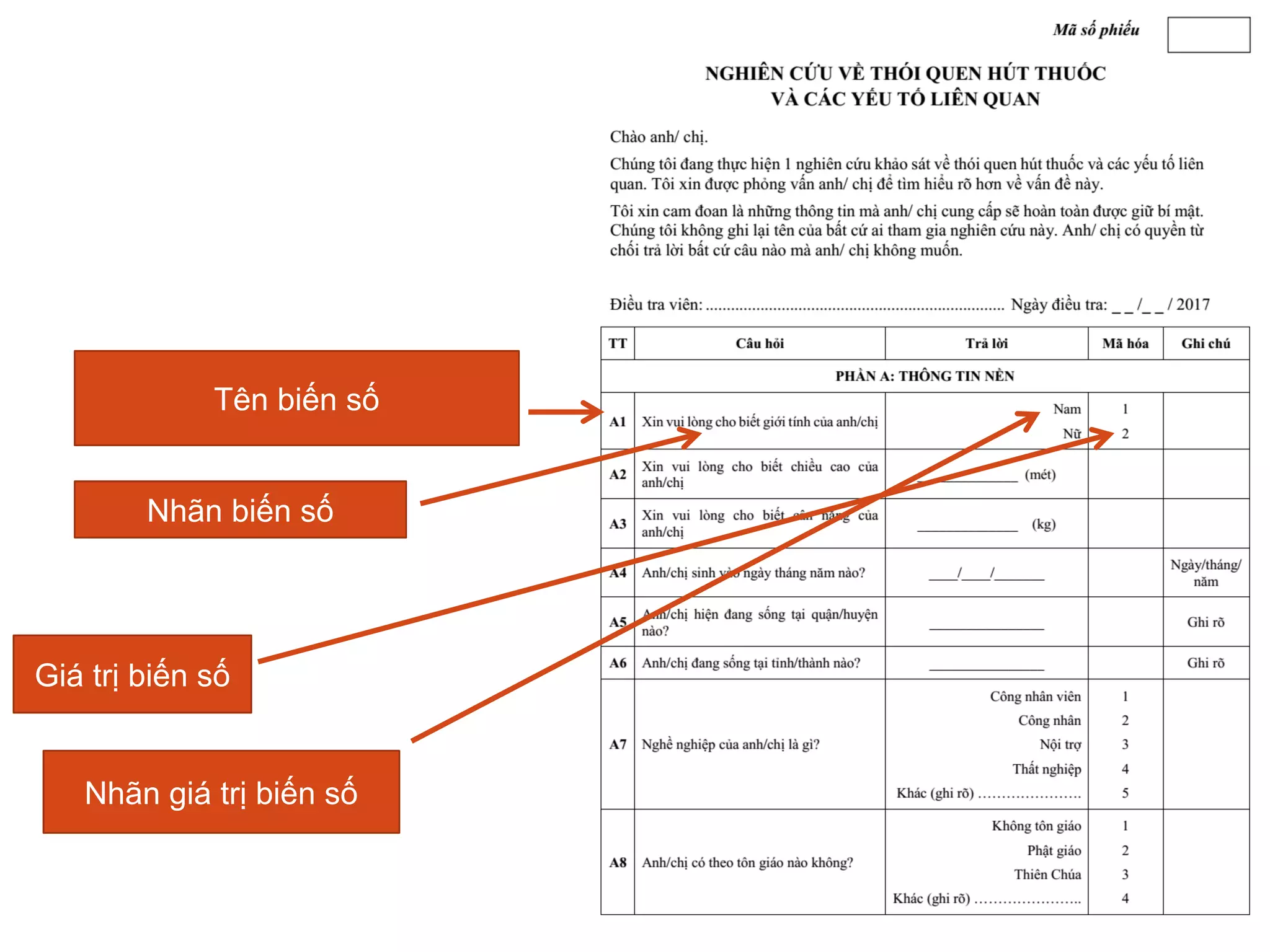 25/04/2021 19
Tên biến số
Nhãn biến số
Giá trị biến số
Nhãn giá trị biến số
 