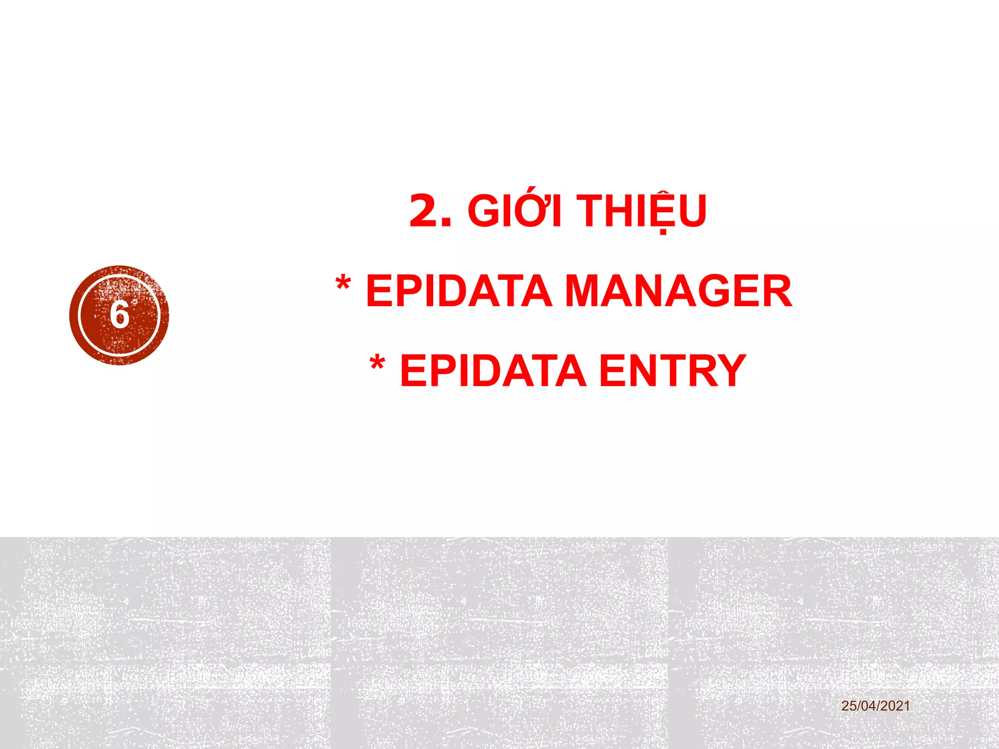 2. GIỚI THIỆU
* EPIDATA MANAGER
* EPIDATA ENTRY
25/04/2021
6
 