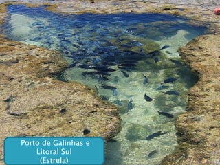 Porto de Galinhas e Litoral Sul (Estrela) 
