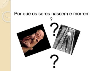 Por que os seres nascem e morrem
?
?
?
 