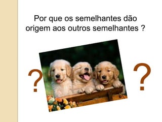 Por que os semelhantes dão
origem aos outros semelhantes ?
??
 