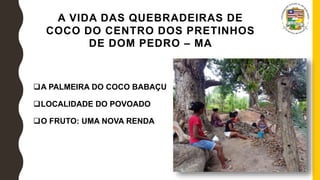 A VIDA DAS QUEBRADEIRAS DE
COCO DO CENTRO DOS PRETINHOS
DE DOM PEDRO – MA
A PALMEIRA DO COCO BABAÇU
LOCALIDADE DO POVOADO
O FRUTO: UMA NOVA RENDA
 