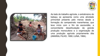 Ao lado do trabalho agrícola, o extrativismo do
babaçu se apresenta como uma atividade
primordial presente pelo menos desde a
formação do campesinato maranhense, que
teve início com o fim da escravidão, a
concomitante desarticulação da grande
produção monocultora e a organização de
uma produção agrícola propriamente dita
(AMARAL FILHO, 1990; LUNA, 1984).
 