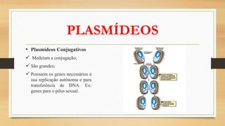 PLASMÍDEOS
• Plasmídeos Conjugativos
 Medeiam a conjugação;
 São grandes;
 Possuem os genes necessários à
sua replicação autônoma e para
transferência de DNA. Ex:
genes para o pilus sexual.
 