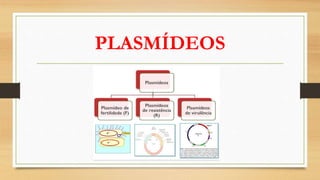 PLASMÍDEOS
 
