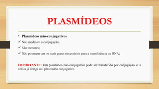 PLASMÍDEOS
• Plasmídeos não-conjugativos
 Não medeiam a conjugação;
 São menores;
 Não possuem um ou mais genes necessários para a transferência de DNA;
IMPORTANTE: Um plasmídeo não-conjugativo pode ser transferido por conjugação se a
célula já abriga um plasmídeo conjugativo.
 