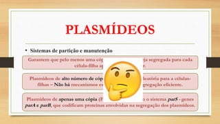 PLASMÍDEOS
• Sistemas de partição e manutenção
Garantem que pelo menos uma cópia do plasmídeo seja segregada para cada
célula-filha após a divisão celular.
Plasmídeos de alto número de cópias – distribuição aleatória para a células-
filhas – Não há mecanismos específicos para a segregação eficiente.
Plasmídeos de apenas uma cópia (F, P1 e R1) codificam o sistema parS - genes
parA e parB, que codificam proteínas envolvidas na segregação dos plasmídeos.
 