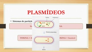 PLASMÍDEOS
• Sistemas de partição e manutenção
Sistema TOXINA X ANTITOXINA
TOXINA = Estável ANTITOXINA = Instável
 
