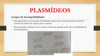PLASMÍDEOS
Grupos de Incompatibilidade:
• Dois plasmídeos com sistemas de replicação iguais será reconhecido pelo sistema de
controle de número de cópias como o mesmo.
• Dois plasmídeos distintos com o mesmo sistema de partição pode não ser distribuído de
forma equitativa;
 