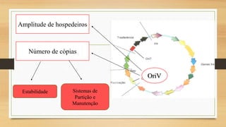 OriV
Amplitude de hospedeiros
Número de cópias
Estabilidade Sistemas de
Partição e
Manutenção
 