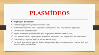 PLASMÍDEOS
• Replicação do tipo teta:
 Depende de proteínas que reconheçam a oriV;
 A abertura das fitas na oriV é seguida da montagem de duas forquilhas de replicação;
 Unidirecional ou bidirecional;
 Alguns plasmídeos possuem sítios para a ligação da proteína DnaA na oriV;
 Essa proteína inicia a replicação do plasmídeo, juntamente com a replicação do cromossomo;
 Proteínas Rep (ligam-se a oriV e iniciam a replicação);
 Em geral, próximo ao sitio de ligação das proteínas Rep, está uma região rica em A-T, que
favorece a abertura das fitas.
 