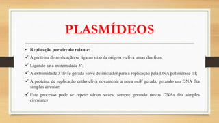 PLASMÍDEOS
• Replicação por círculo rolante:
 A proteína de replicação se liga ao sítio da origem e cliva umas das fitas;
 Ligando-se a extremidade 5’;
 A extremidade 3’ livre gerada serve de iniciador para a replicação pela DNA polimerase III;
 A proteína de replicação então cliva novamente a nova oriV gerada, gerando um DNA fita
simples circular;
 Este processo pode se repete várias vezes, sempre gerando novos DNAs fita simples
circulares
 