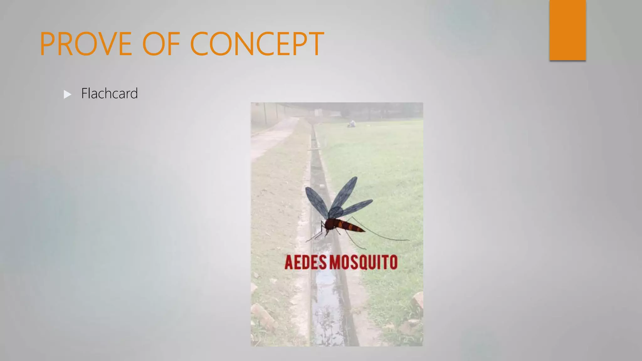 PROVE OF CONCEPT
 Flachcard
 