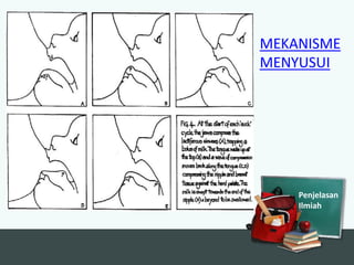 MEKANISME
MENYUSUI

Penjelasan
Ilmiah

 