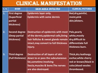 Clinical manifestation
S. N. BURN SKIN AREA INVOLVED CLINICAL PICTURES
1.
2.
3.
First degree
(Superficial
partial
thickness)
Second degree
(Deep partial
thickness)
Third degree
(Full thickness)
Epidermis layer only.
Epidermis with some dermis
Destruction of epidermis with most
of the dermis,epidermal cells,lining
hair follicles & sweat glands remain
intact,may convert to full thickness
injury.
Destruction of all layers of skin
down to or pass the subcutaneous
fat,sometime involving
fascia,muscles & bone.The nerves
are also destroyed.
Red,dry,painful,
moist,pink
skin,blisters.
Pale,pearly
white,mostly
dry,difficult to
differentiate full
thickness burn.
Thick,dry leathargy
eschar,white cherry
red or brown/black in
color,blood vessles
thrombosed.
 