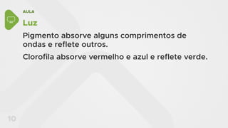 AULA
10
Luz
Pigmento absorve alguns comprimentos de
ondas e reflete outros.
Clorofila absorve vermelho e azul e reflete verde.
 