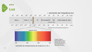 AULA
11
Luz
Imagem: Espectro
eletromagnético com o
espectro de luz visível
indicado EM_spectrum.
svg, CC BY-SA 3.0/
Wikimedia Commons.
 