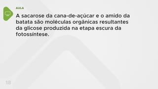 AULA
18
A sacarose da cana-de-açúcar e o amido da
batata são moléculas orgânicas resultantes
da glicose produzida na etapa escura da
fotossíntese.
 
