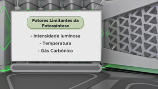 AULA
19
Fatores Limitantes da
Fotossíntese
- Intensidade luminosa
- Temperatura
- Gás Carbônico
 