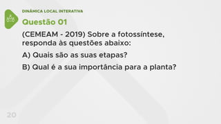 DINÂMICA LOCAL INTERATIVA
20
Questão 01
(CEMEAM - 2019) Sobre a fotossíntese,
responda às questões abaixo:
A) Quais são as suas etapas?
B) Qual é a sua importância para a planta?
 