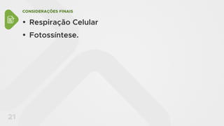 CONSIDERAÇÕES FINAIS
21
y Respiração Celular
y Fotossíntese.
 