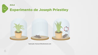 AULA
6
Experimento de Joseph Priestley
Ilustração: Honourr/Shutterstock.com
 