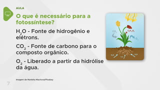 AULA
7
O que é necessário para a
fotossíntese?
H2
O - Fonte de hidrogênio e
elétrons.
CO2
- Fonte de carbono para o
composto orgânico.
O2
- Liberado a partir da hidrólise
da água.
Imagem de Markéta Machová/Pixabay
 