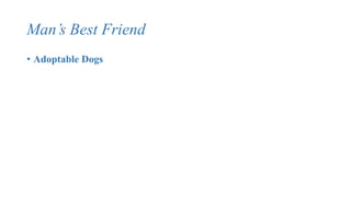 Man’s Best Friend
• Adoptable Dogs
 