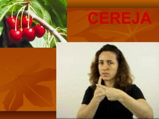 CEREJA
 