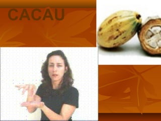 CACAU
 