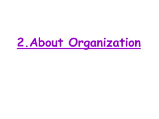 2.About Organization