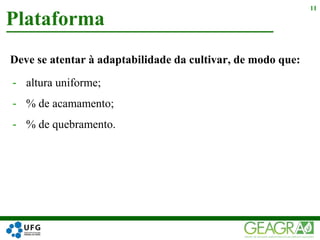 Deve se atentar à adaptabilidade da cultivar, de modo que:
- altura uniforme;
- % de acamamento;
- % de quebramento.
Plataforma
11
 