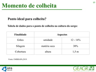 Ponto ideal para colheita?
Momento de colheita
13
Finalidade Aspectos
Grãos umidade 12 - 14%
Silagem matéria seca 30%
Cobertura altura 1,5 m
Tabela de dados para o ponto de colheita na cultura do sorgo:
Fonte: EMBRAPA,2019.
 