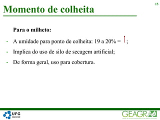 Para o milheto:
- A umidade para ponto de colheita: 19 a 20% = ;
- Implica do uso de silo de secagem artificial;
- De forma geral, uso para cobertura.
Momento de colheita
15
 