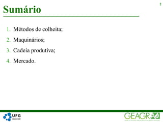 1. Métodos de colheita;
2. Maquinários;
3. Cadeia produtiva;
4. Mercado.
Sumário
2
 