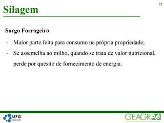 Sorgo Forrageiro
- Maior parte feita para consumo na própria propriedade;
- Se assemelha ao milho, quando se trata de valor nutricional,
perde por quesito de fornecimento de energia.
Silagem
22
 