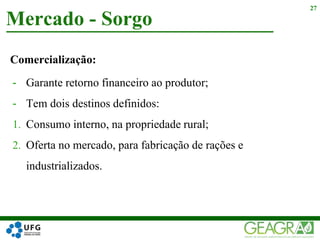 Comercialização:
- Garante retorno financeiro ao produtor;
- Tem dois destinos definidos:
1. Consumo interno, na propriedade rural;
2. Oferta no mercado, para fabricação de rações e
industrializados.
Mercado - Sorgo
27
 
