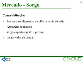 Comercialização:
- Por ser uma alternativa à colheita tardia da safra;
- Armazéns ocupados:
1. sorgo exposto sujeito a perdas;
2. menor valor de venda.
Mercado - Sorgo
28
 