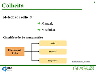 Métodos de colheita:
➔ Manual;
➔ Mecânica.
Colheita
4
Classificação do maquinário:
Pelo modo de
trilha
Axial
Híbrida
Tangencial Fonte:Almeida, Beatriz.
 